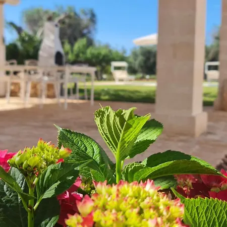 Pietre Vive Trulli Del Salento * Latiano